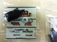 Предохранитель T12287-39 - st-e.info - Каменск-Уральский